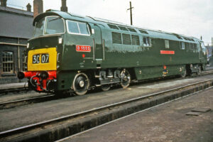 D1003